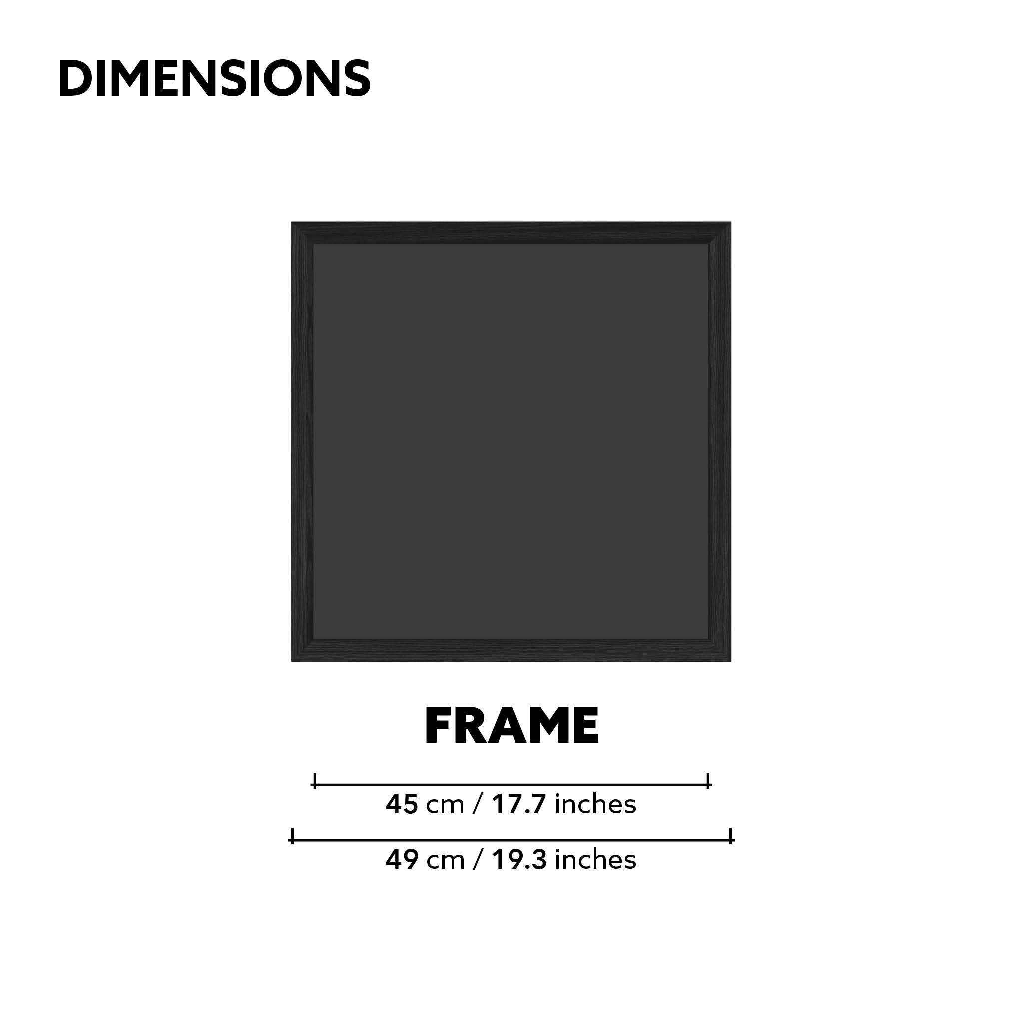 Tokyo Frame